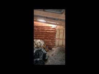 video by is overheard a great ustyug