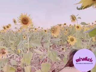 video by