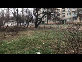 extreme blowjob of a red -haired student right under the windows of a residential building